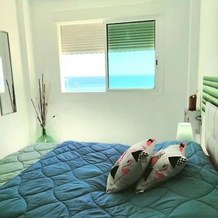 Paraiso - Dive Radazul