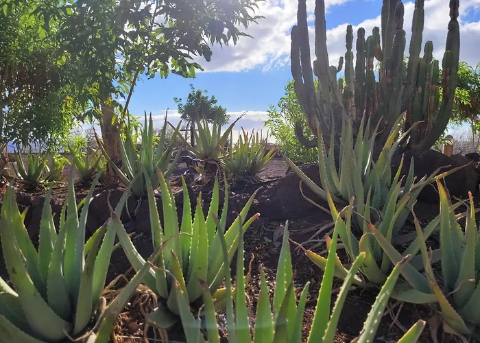 Appartamento Paraiso - Dive Radazul