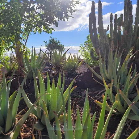 Апартаменты Paraiso - Dive Радазул