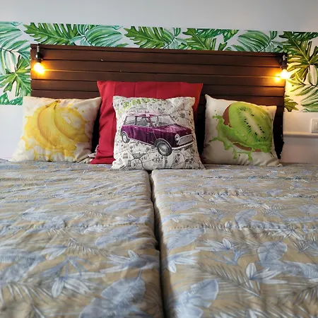 Paraiso - Dive * Radazul