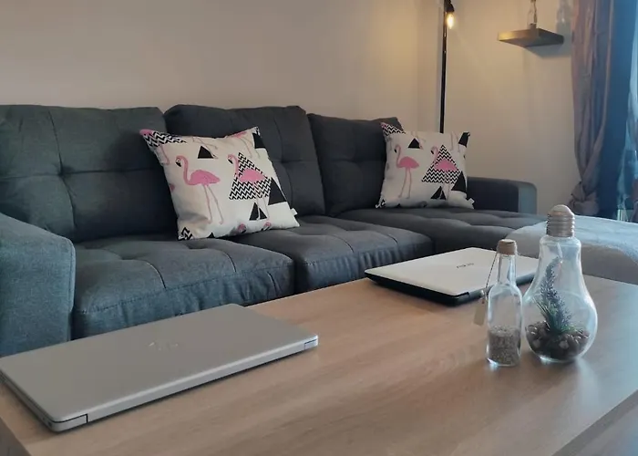 Paraiso - Dive * Radazul